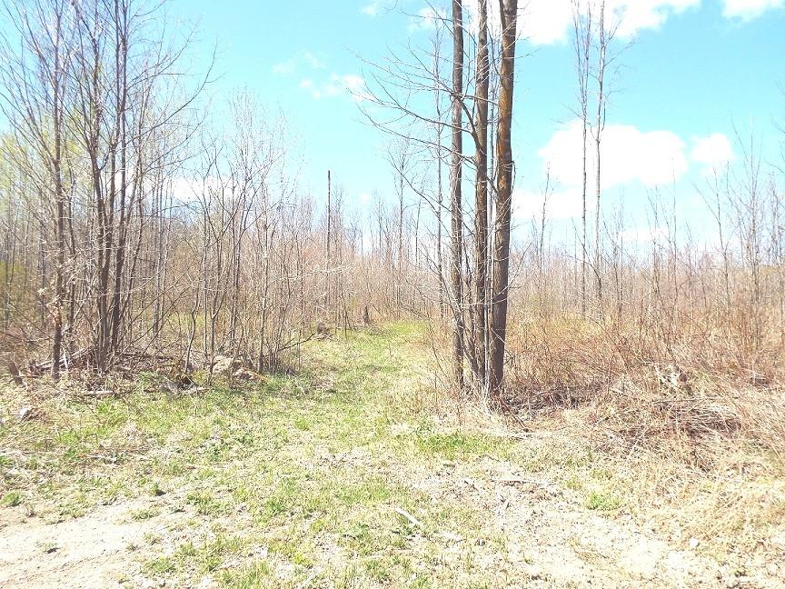 On Buckner Road White Lake, WI 54491 - Photo 4 of 10 Gallery Image 4