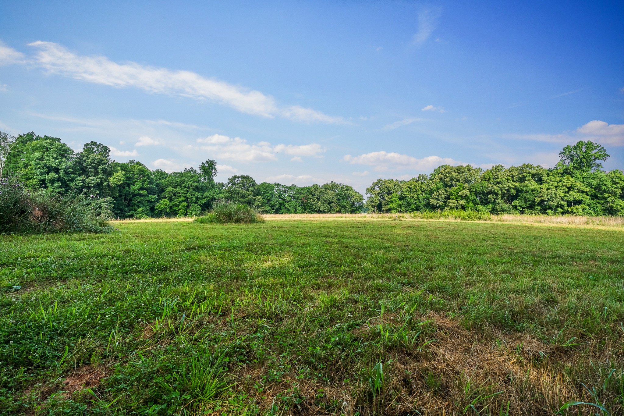 846 Hidden River Road Rock Island, TN 38581 - Photo 3 of 16
