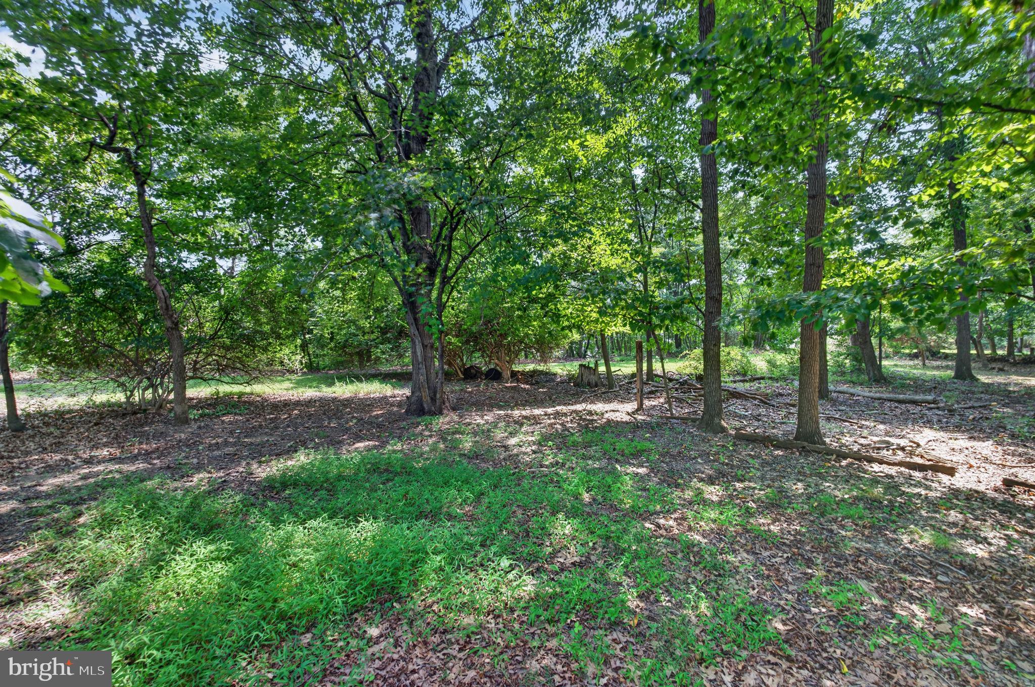 10130 Clearspring Road Damascus, MD 20872 - Photo 54 of 63 Gallery Image 54
