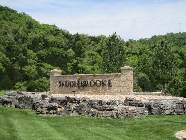 Tbd Ridgecrest Drive Chestnutridge, MO 65630 - Photo 1 of 1 IMG_2425