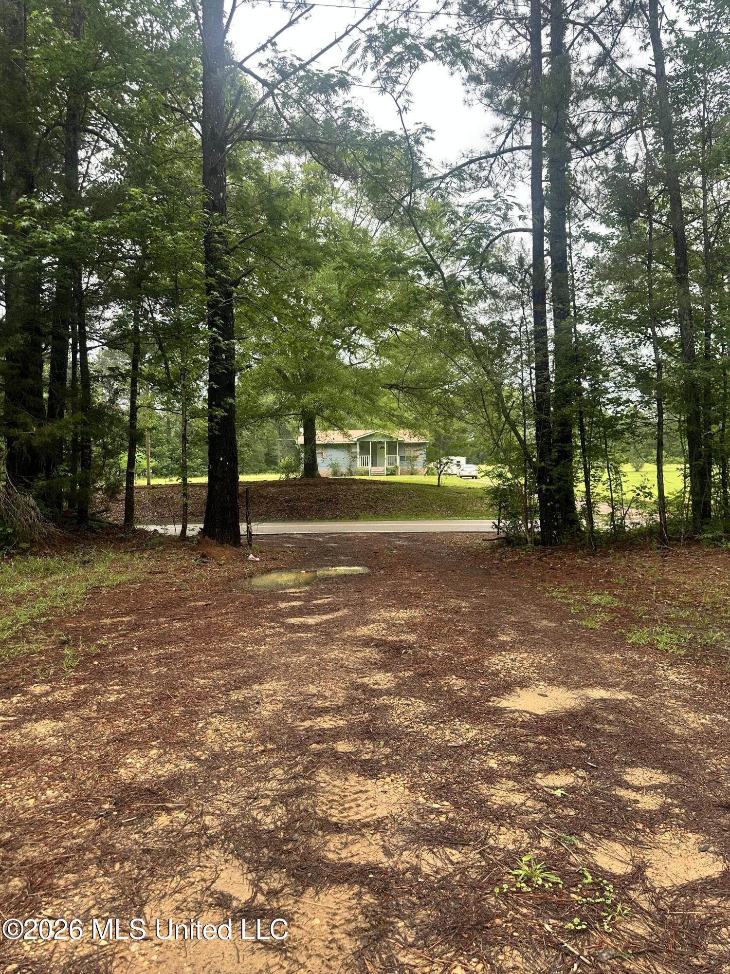 6936 Hillsboro-Ludlow Road Forest, MS 39074 - Photo 20 of 22 IMG_6498