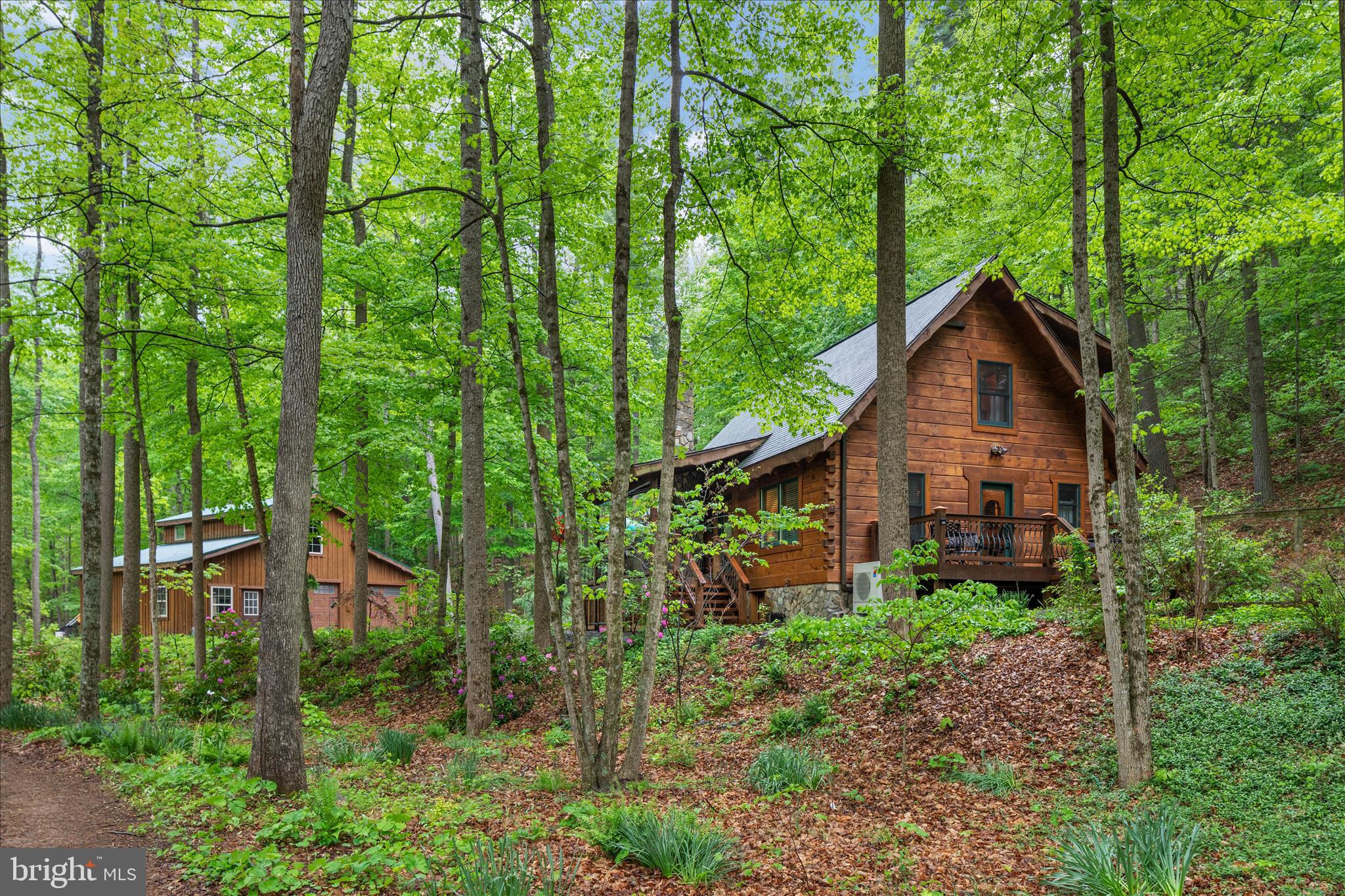 13581 Ford Hill Road Rio, WV 26755 - Photo 48 of 70 2E6A1233_13581 Ford Hill Rd - Absolute Altitude -