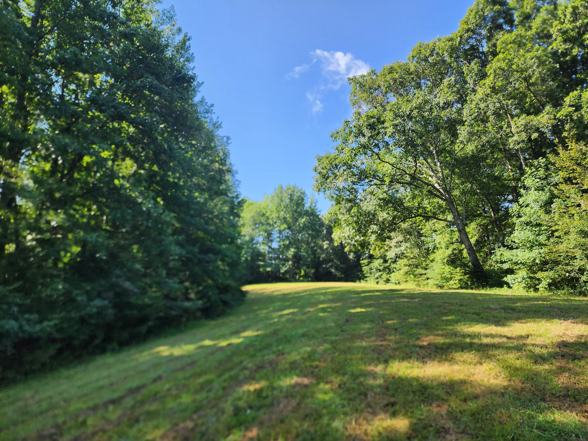 8220 Suckstem Branch Road Lawrenceburg, TN 38464 - Photo 1 of 31 Gallery Image 1