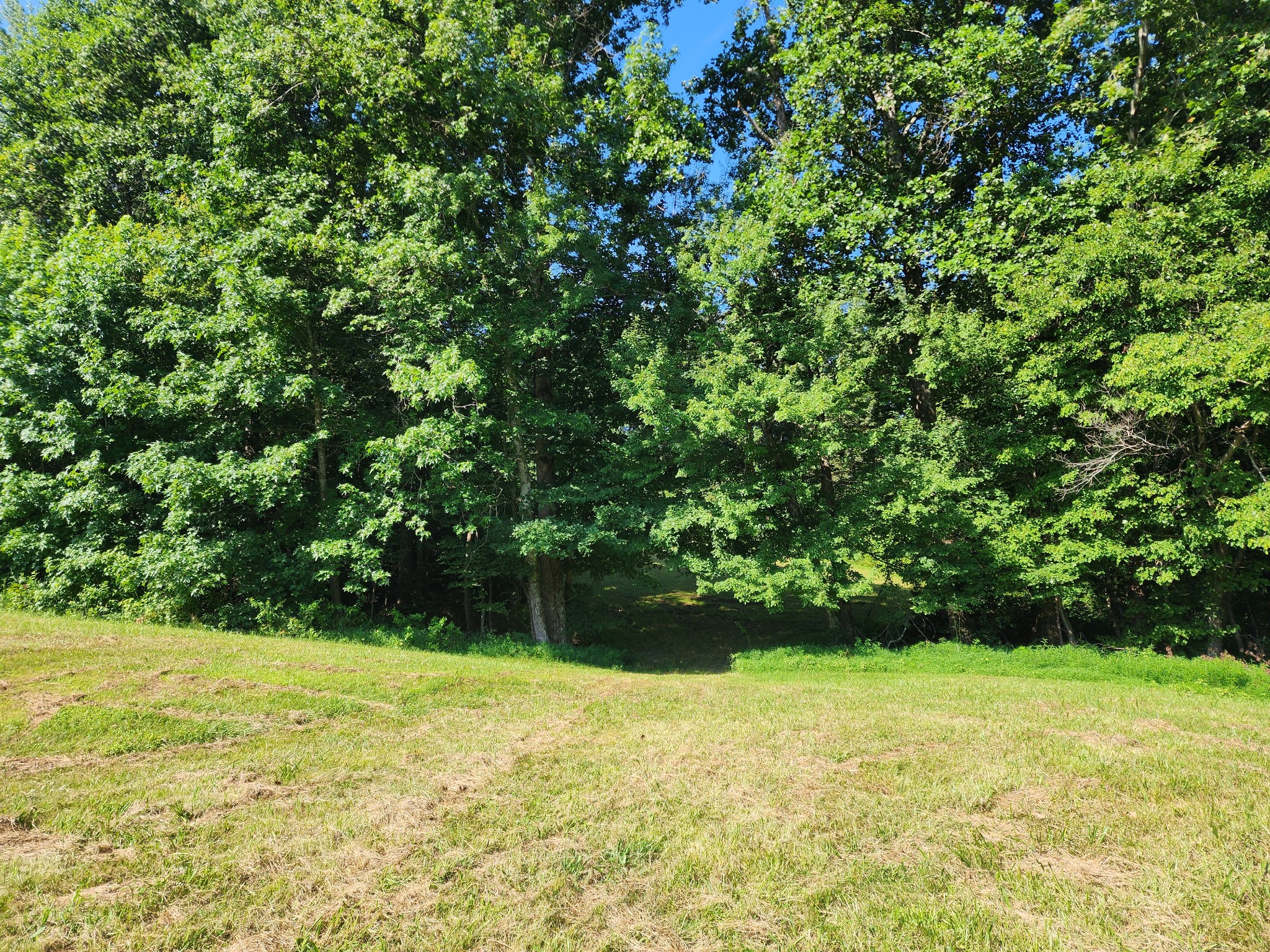 8220 Suckstem Branch Road Lawrenceburg, TN 38464 - Photo 16 of 31 Gallery Image 16