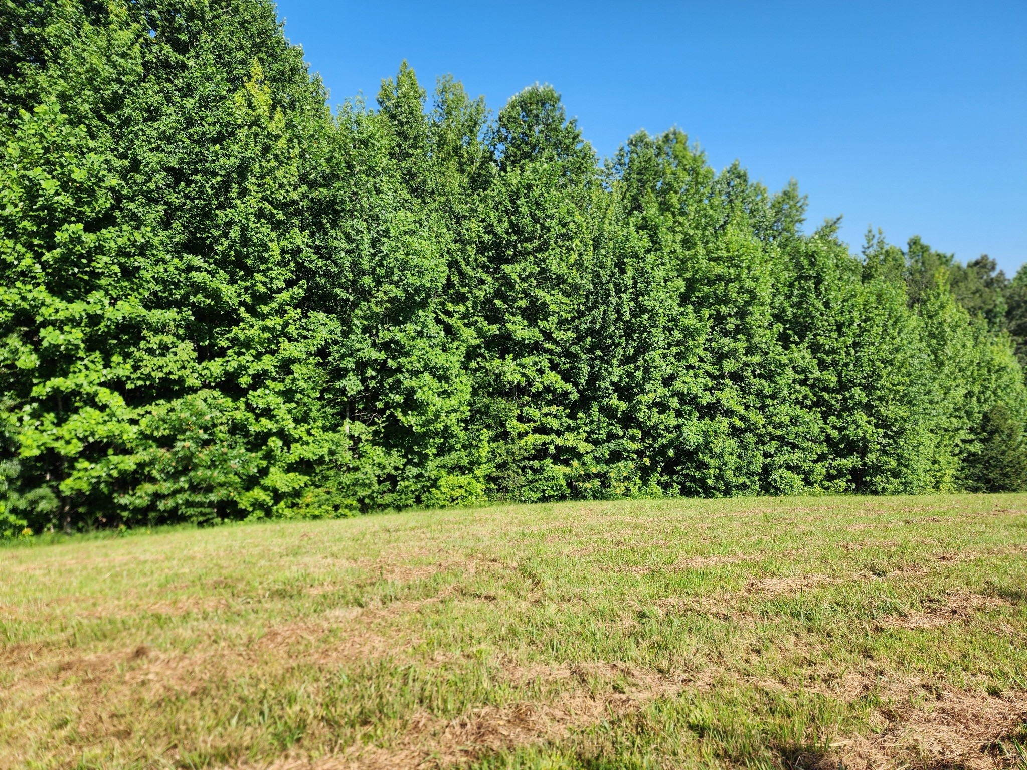 8220 Suckstem Branch Road Lawrenceburg, TN 38464 - Photo 19 of 31 Gallery Image 19