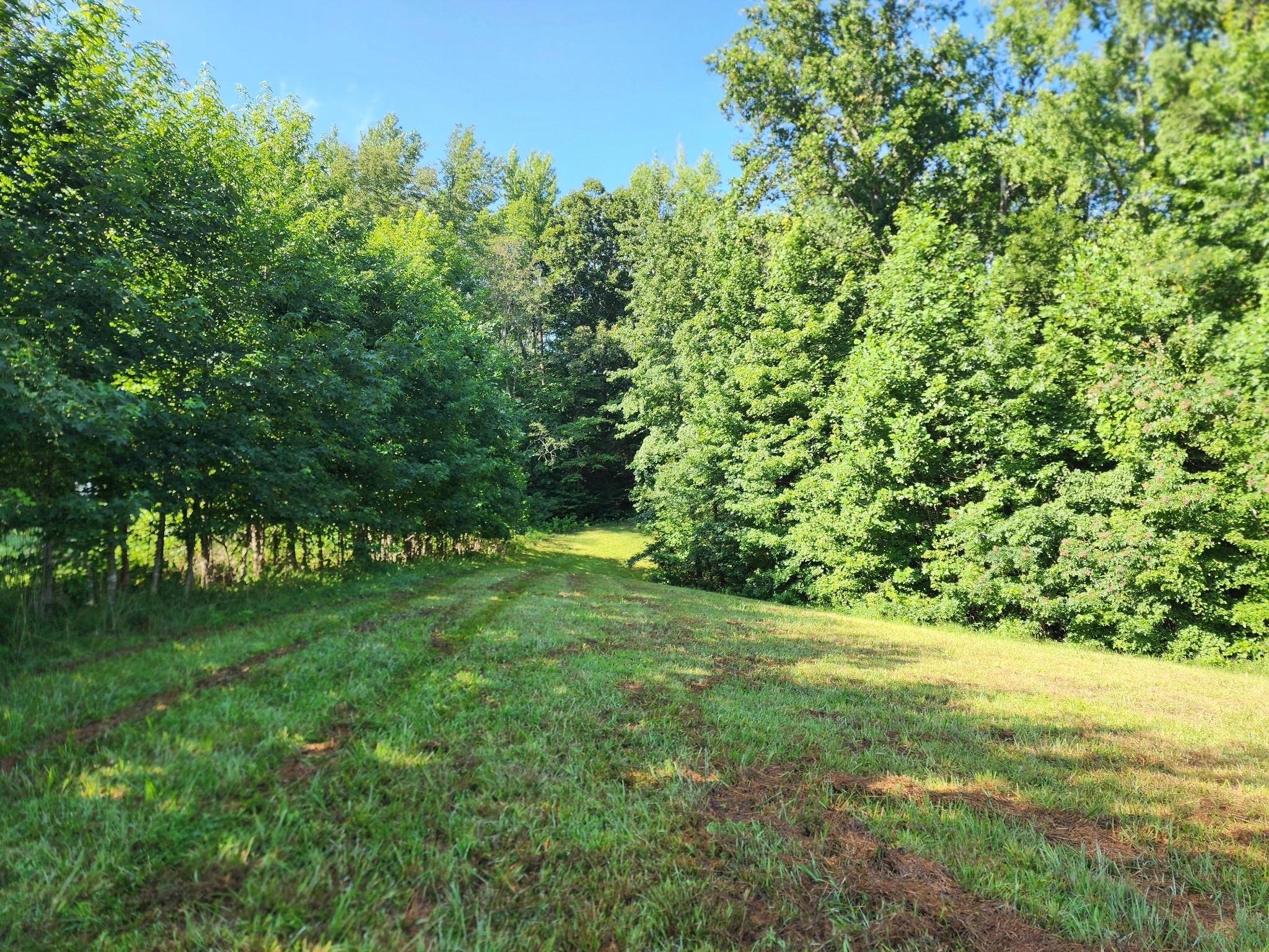 8220 Suckstem Branch Road Lawrenceburg, TN 38464 - Photo 20 of 31 Gallery Image 20