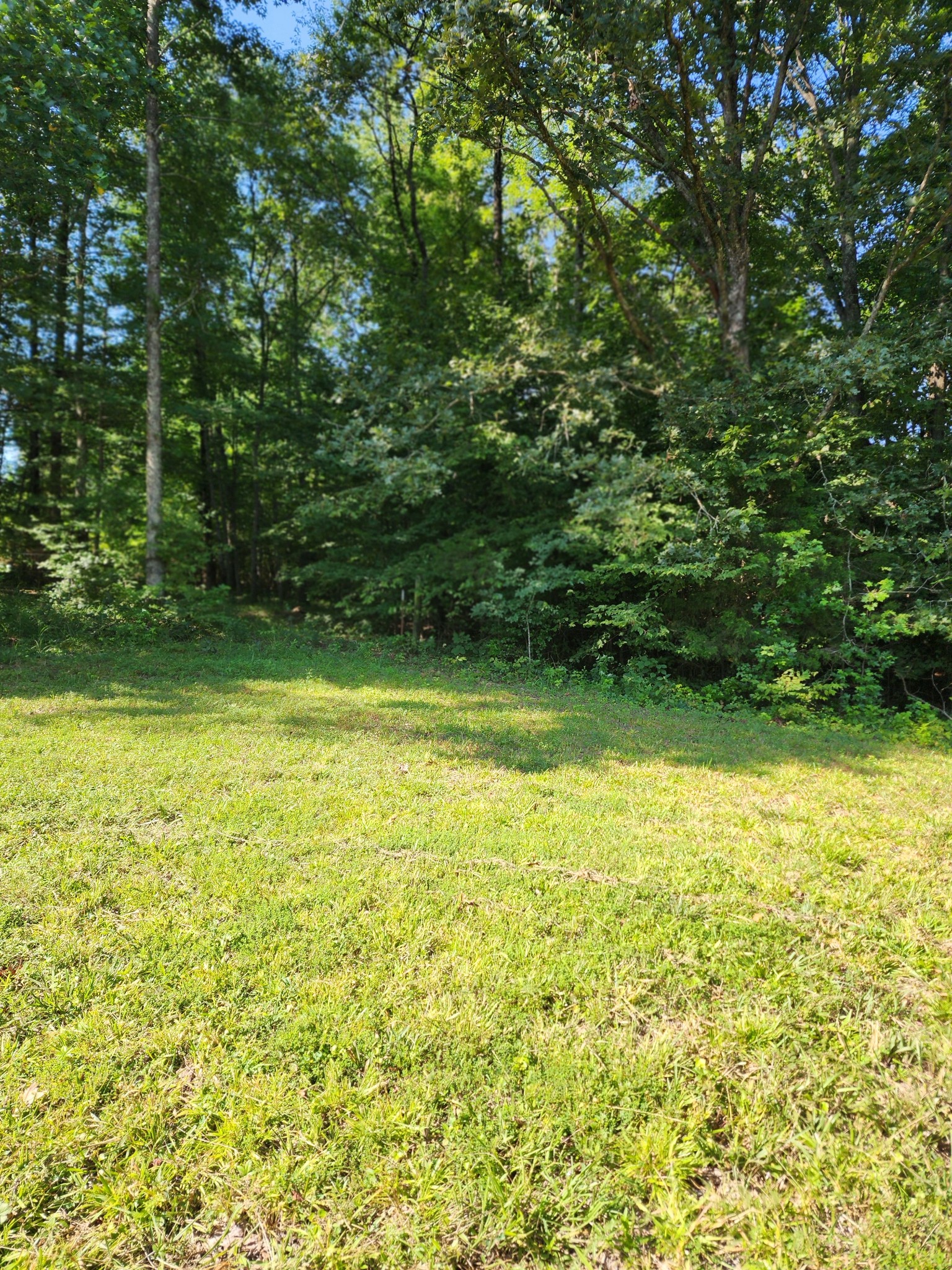 8220 Suckstem Branch Road Lawrenceburg, TN 38464 - Photo 21 of 31 Gallery Image 21