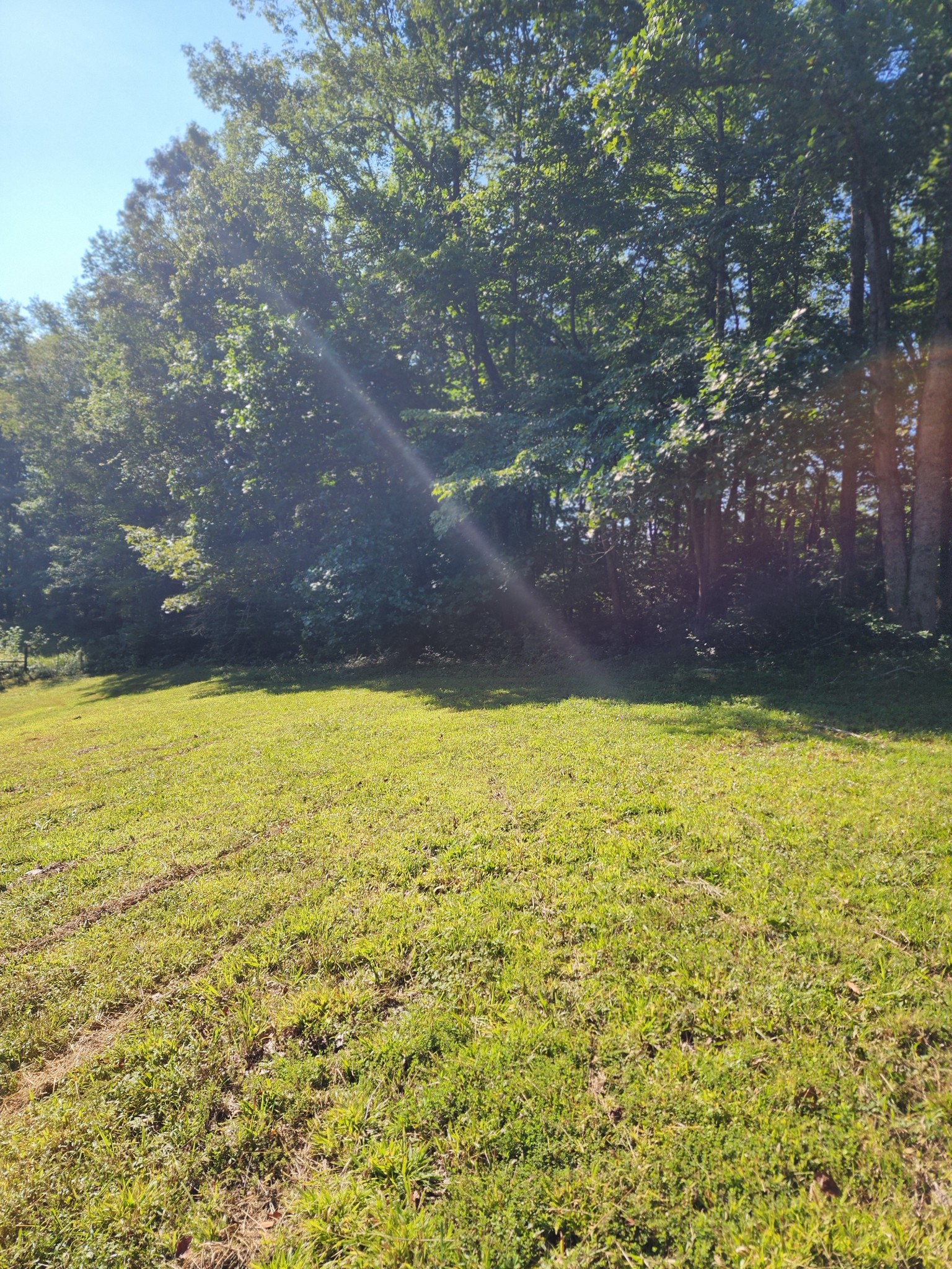 8220 Suckstem Branch Road Lawrenceburg, TN 38464 - Photo 22 of 31 Gallery Image 22
