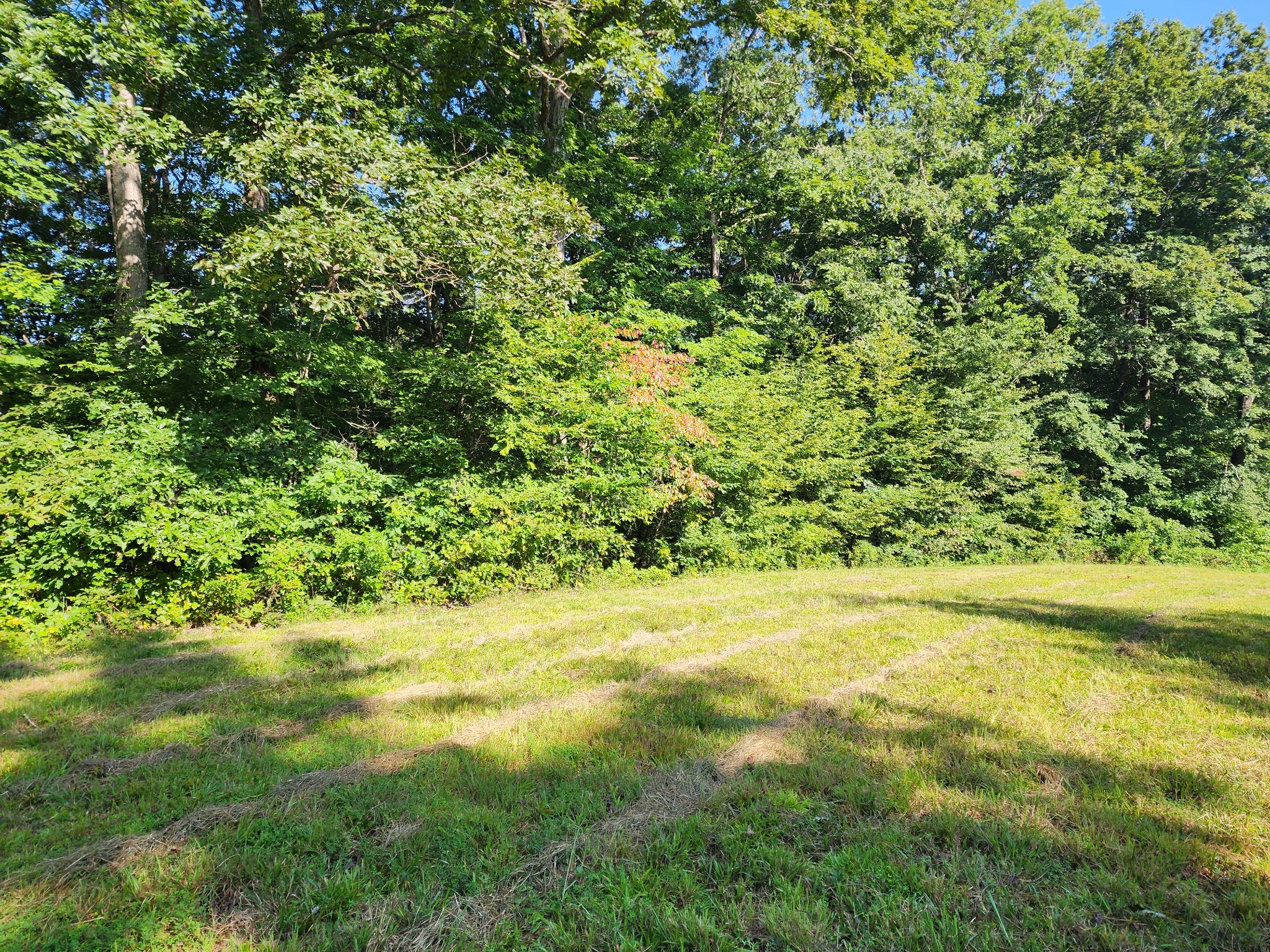 8220 Suckstem Branch Road Lawrenceburg, TN 38464 - Photo 24 of 31 Gallery Image 24