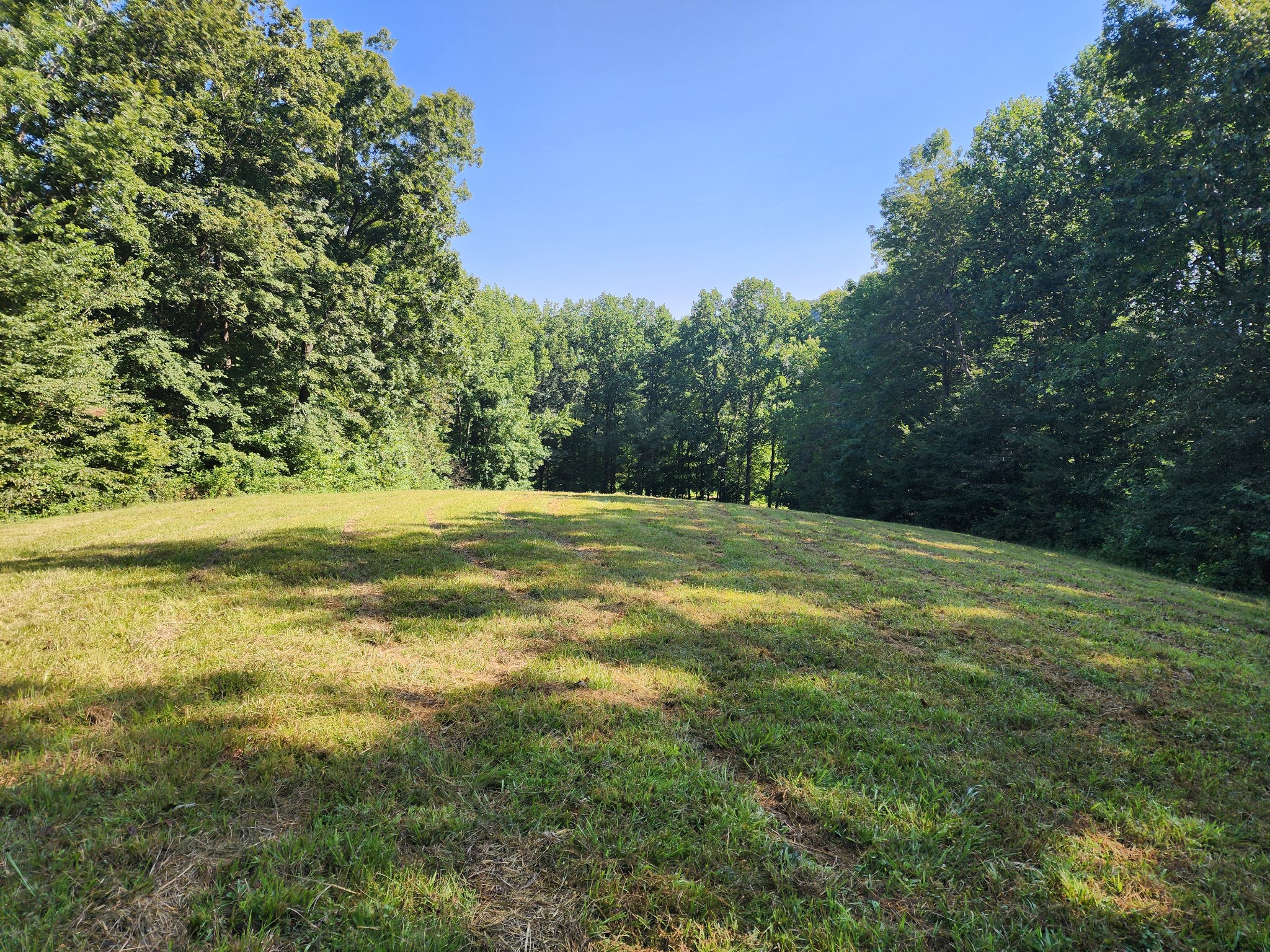8220 Suckstem Branch Road Lawrenceburg, TN 38464 - Photo 25 of 31 Gallery Image 25