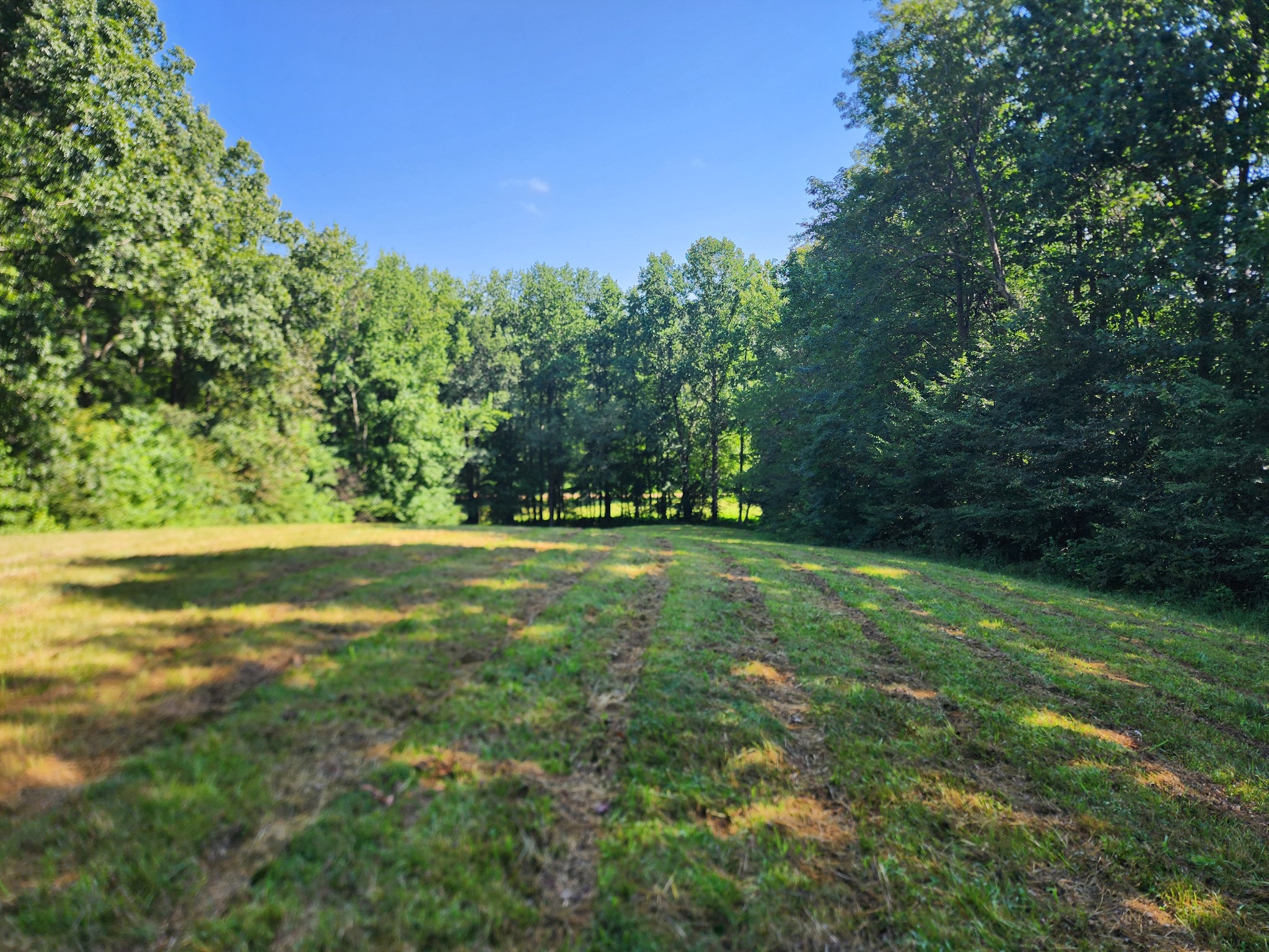 8220 Suckstem Branch Road Lawrenceburg, TN 38464 - Photo 5 of 31 Gallery Image 5