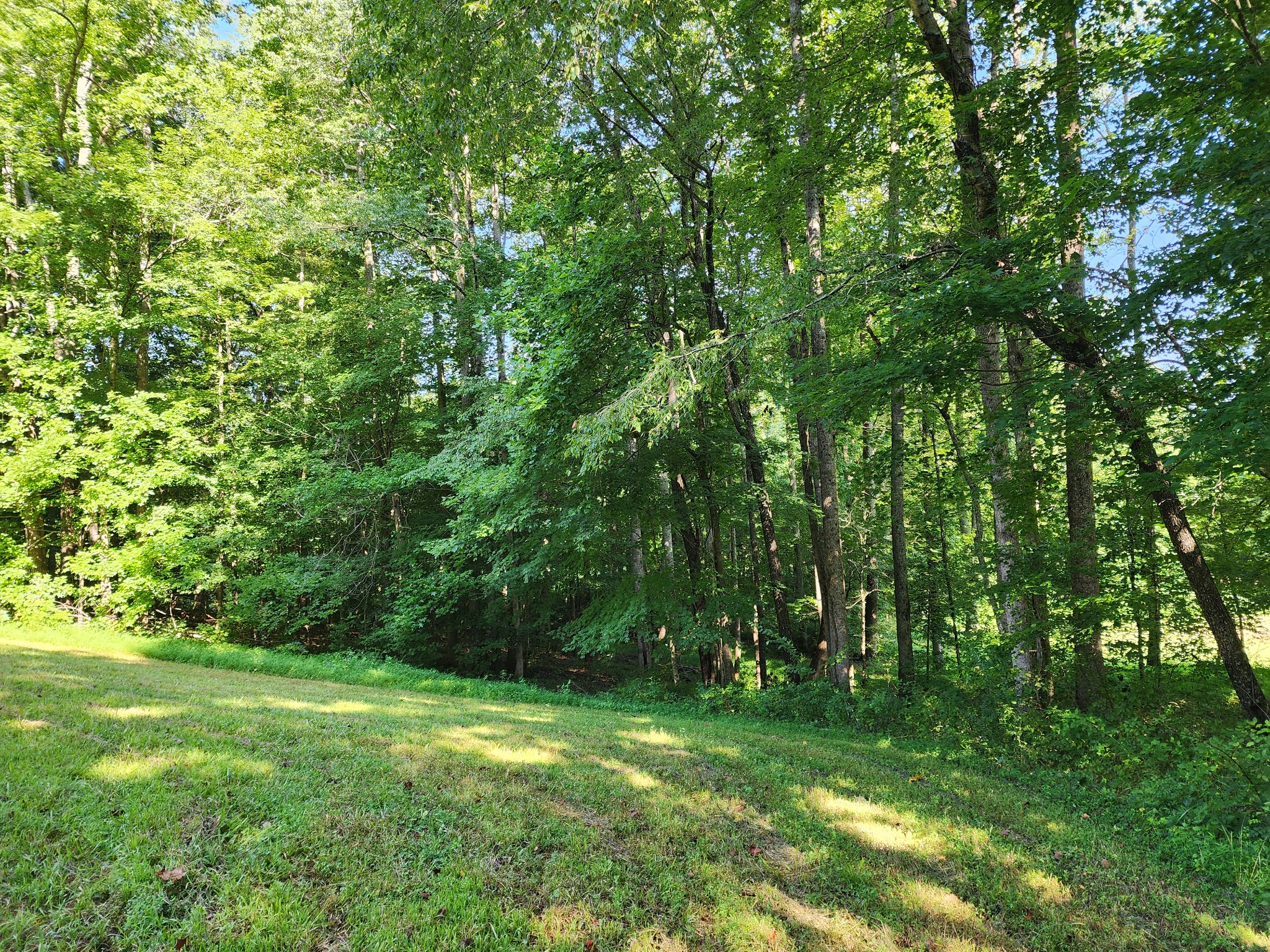 8220 Suckstem Branch Road Lawrenceburg, TN 38464 - Photo 8 of 31 Gallery Image 8
