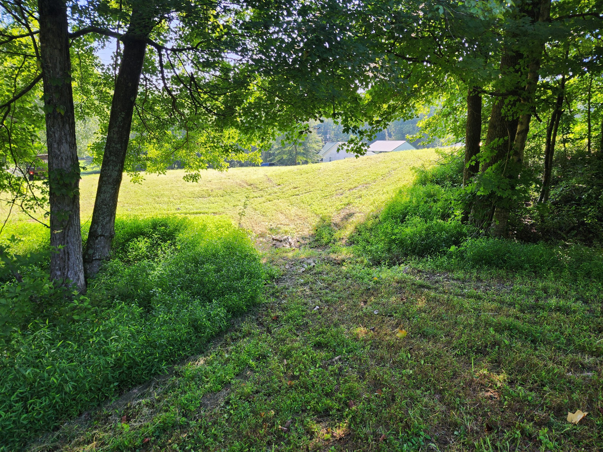8220 Suckstem Branch Road Lawrenceburg, TN 38464 - Photo 9 of 31 Gallery Image 9