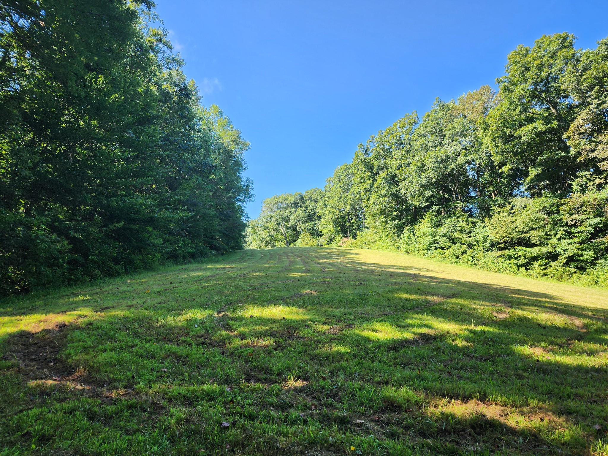 8220 Suckstem Branch Road Lawrenceburg, TN 38464 - Photo 10 of 31 Gallery Image 10