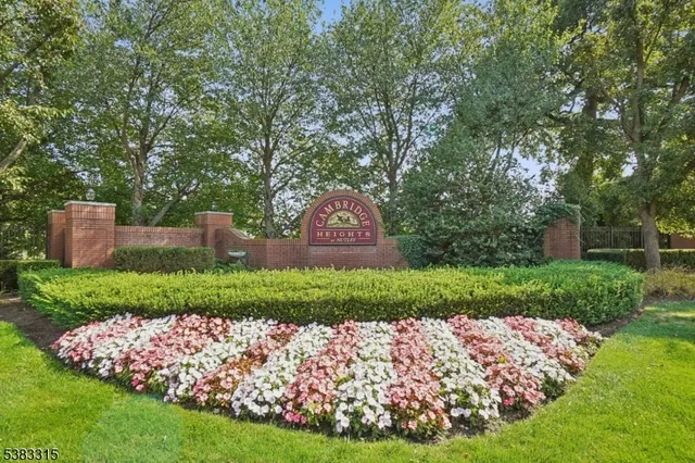 a view of a back yard