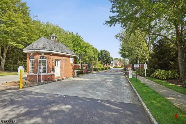 a view of a park with large trees
