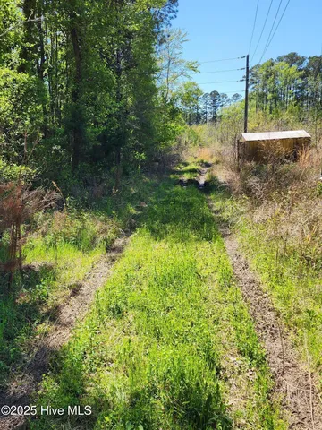 $25,000 | 305 Clyde Avenue, Aulander, NC 27805