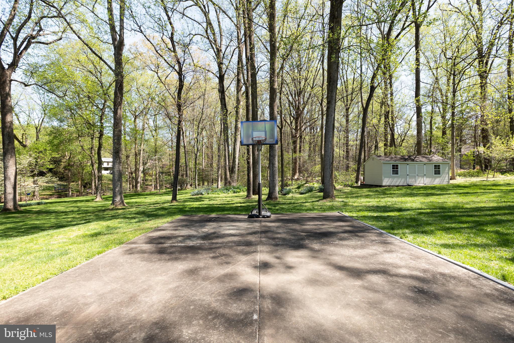 513 Springvale Road Great Falls, VA 22066 - Photo 87 of 95 Sports court
