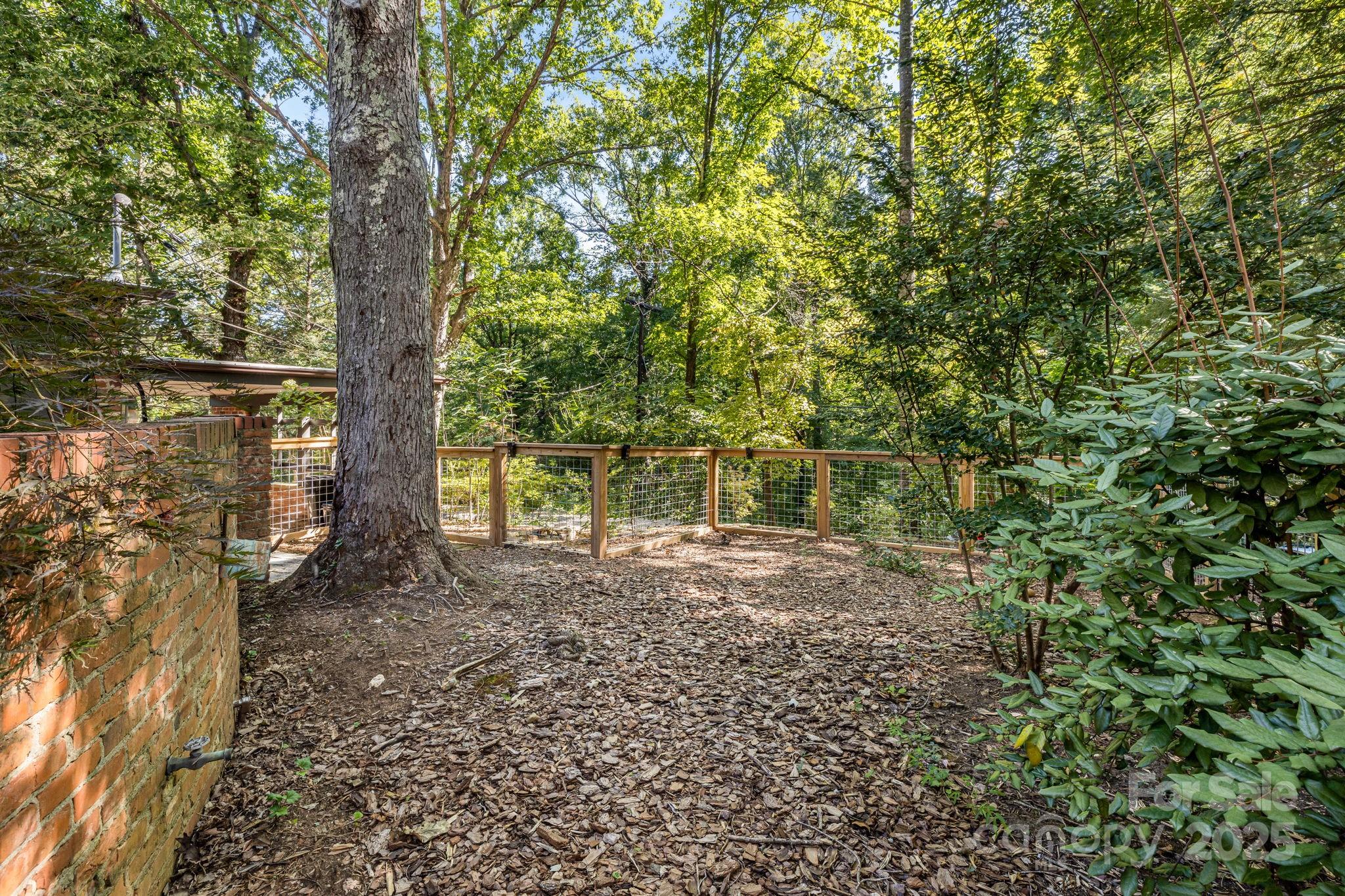 750 Braewick Road Tryon, NC 28782 - Photo 40 of 43 a view of a yard with a tree