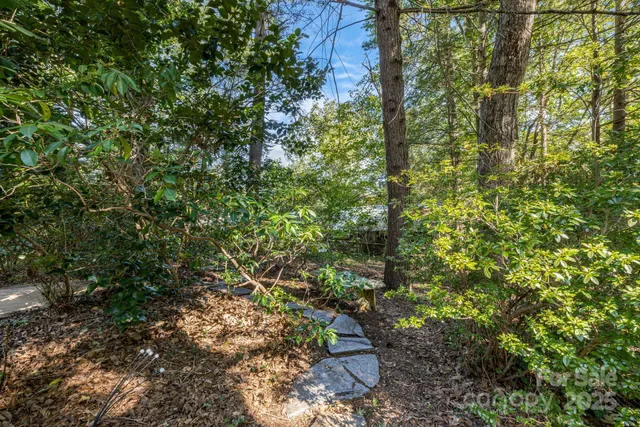 a view of a field with trees in the background