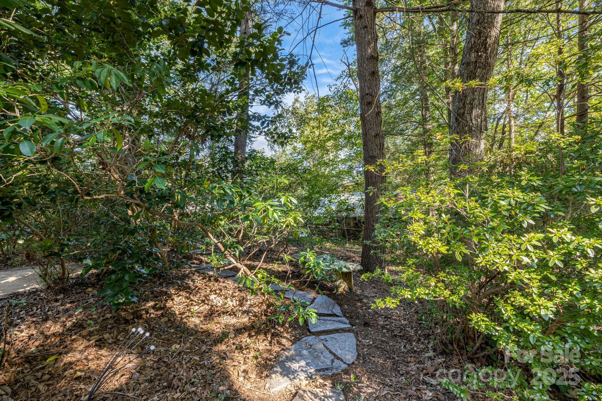 750 Braewick Road Tryon, NC 28782 - Photo 41 of 43 a backyard of a house with lots of plants