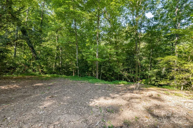 a view of outdoor space and trees