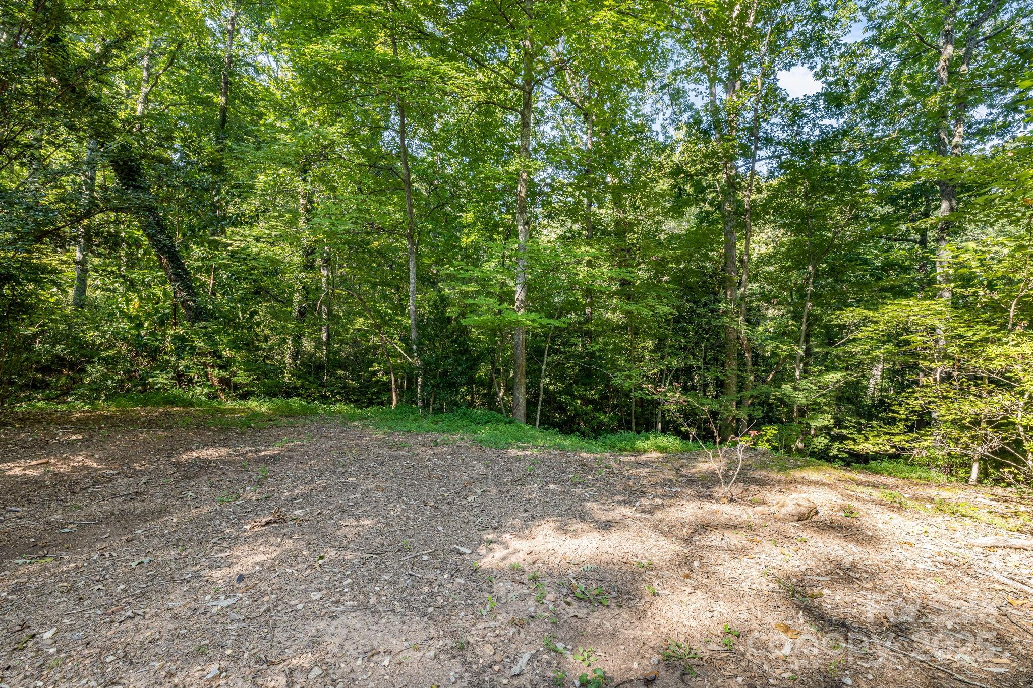 750 Braewick Road Tryon, NC 28782 - Photo 42 of 43 a view of a field with trees in the background