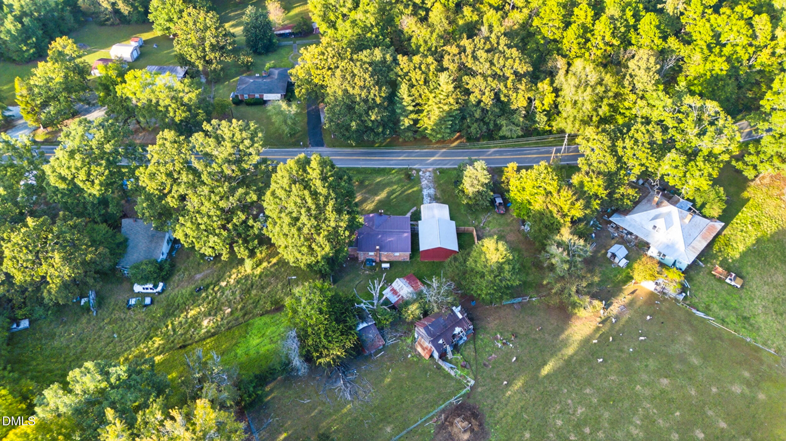 205 Bacon Road Rougemont, NC 27572 - Photo 27 of 29 a view of a yard with plants