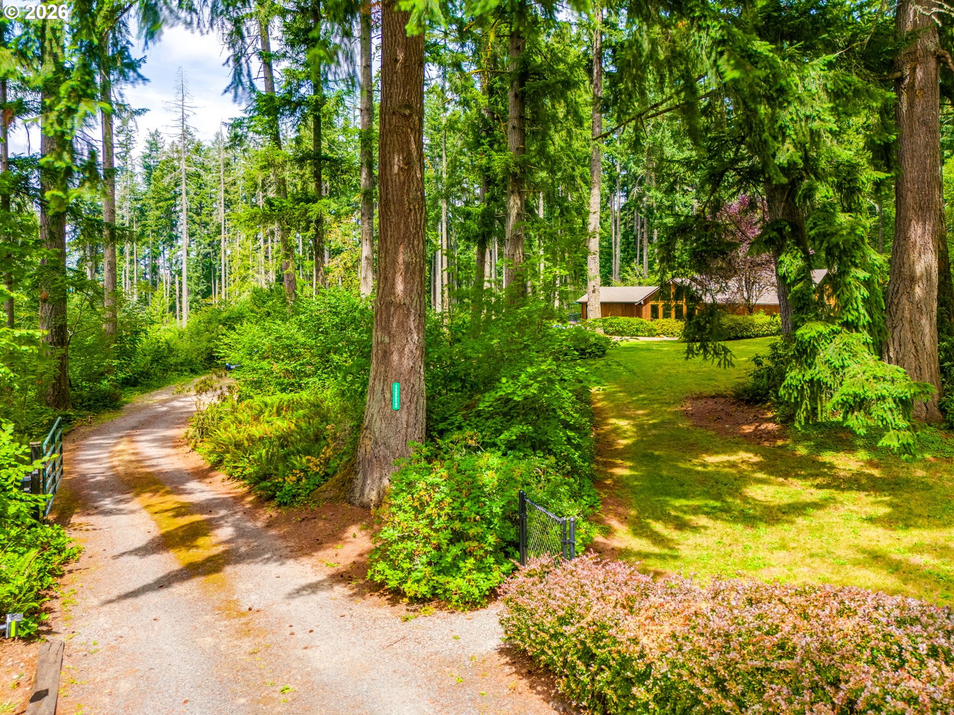 13212 Northeast Powell Road Brush Prairie, WA 98606 - Photo 47 of 48 Driveway