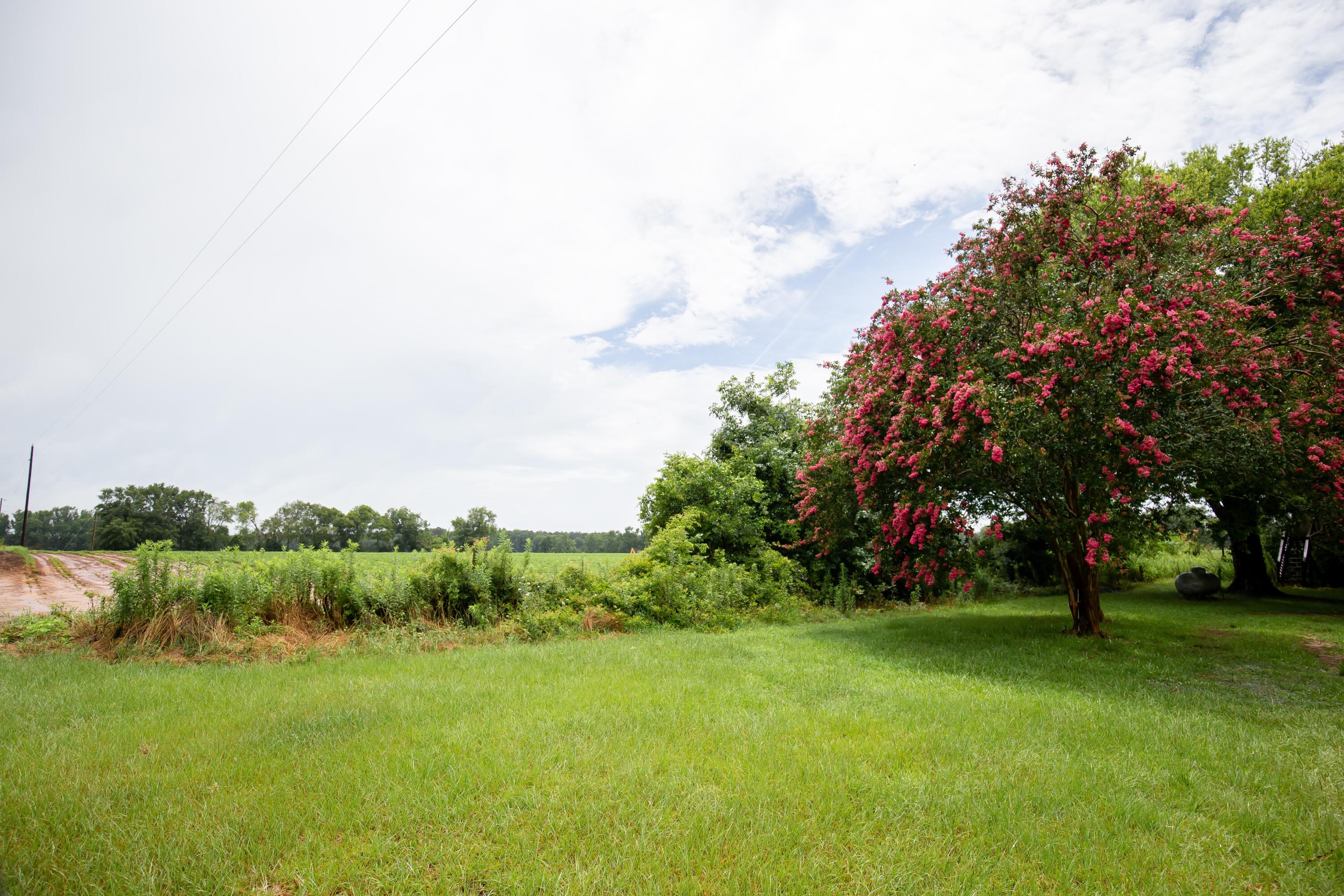 774 South Old Olar Road Denmark, SC 29042 - Photo 21 of 21