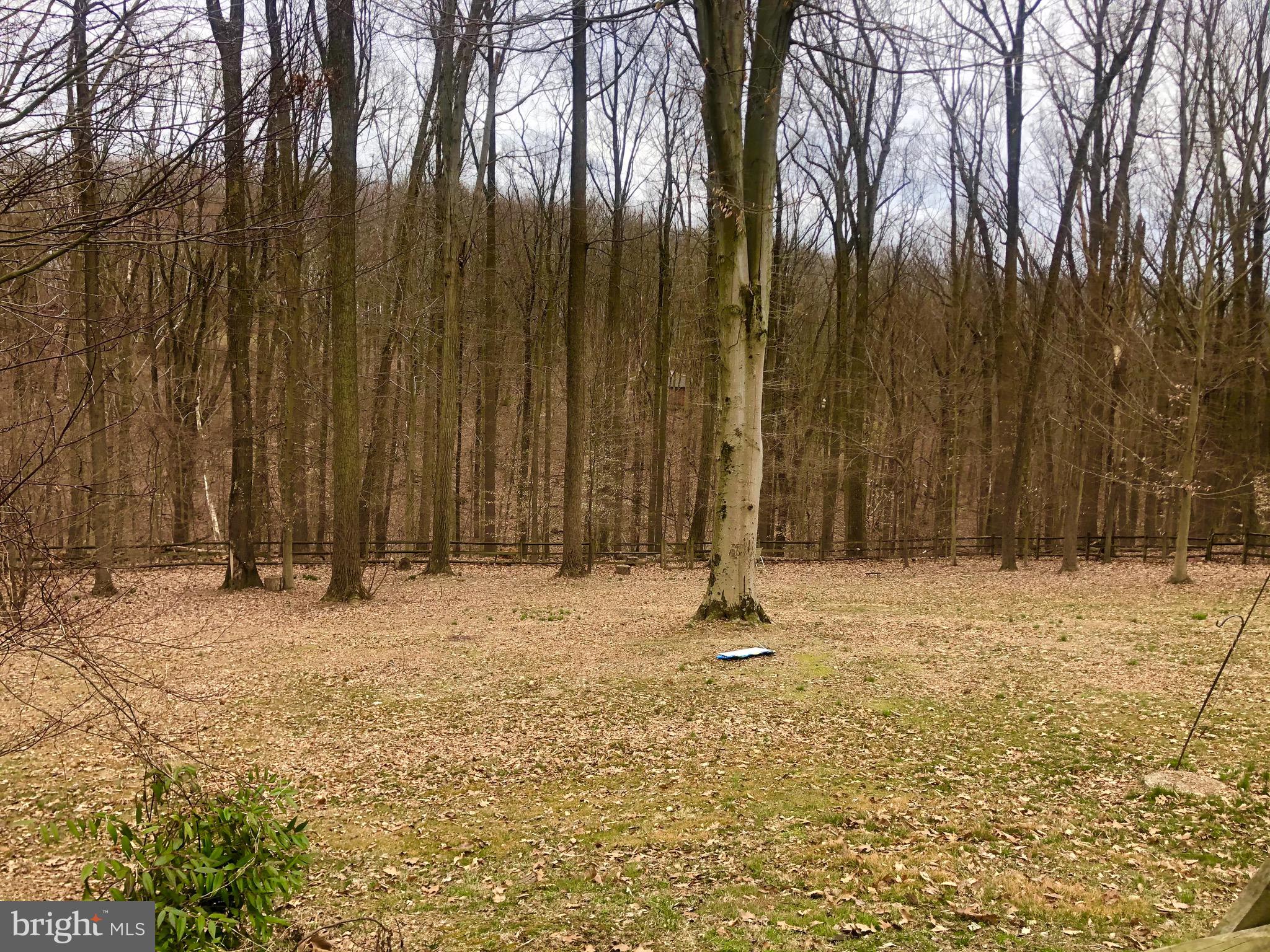 31 Glen Alpine Road Phoenix, MD 21131 - Photo 29 of 30 1.37 Acres, backyard fenced. Backs to woods
