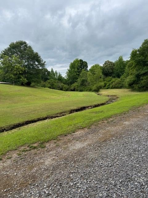 1465 Earnest Chapel Road Oakman, AL 35579 - Photo 23 of 23 IMG_2544