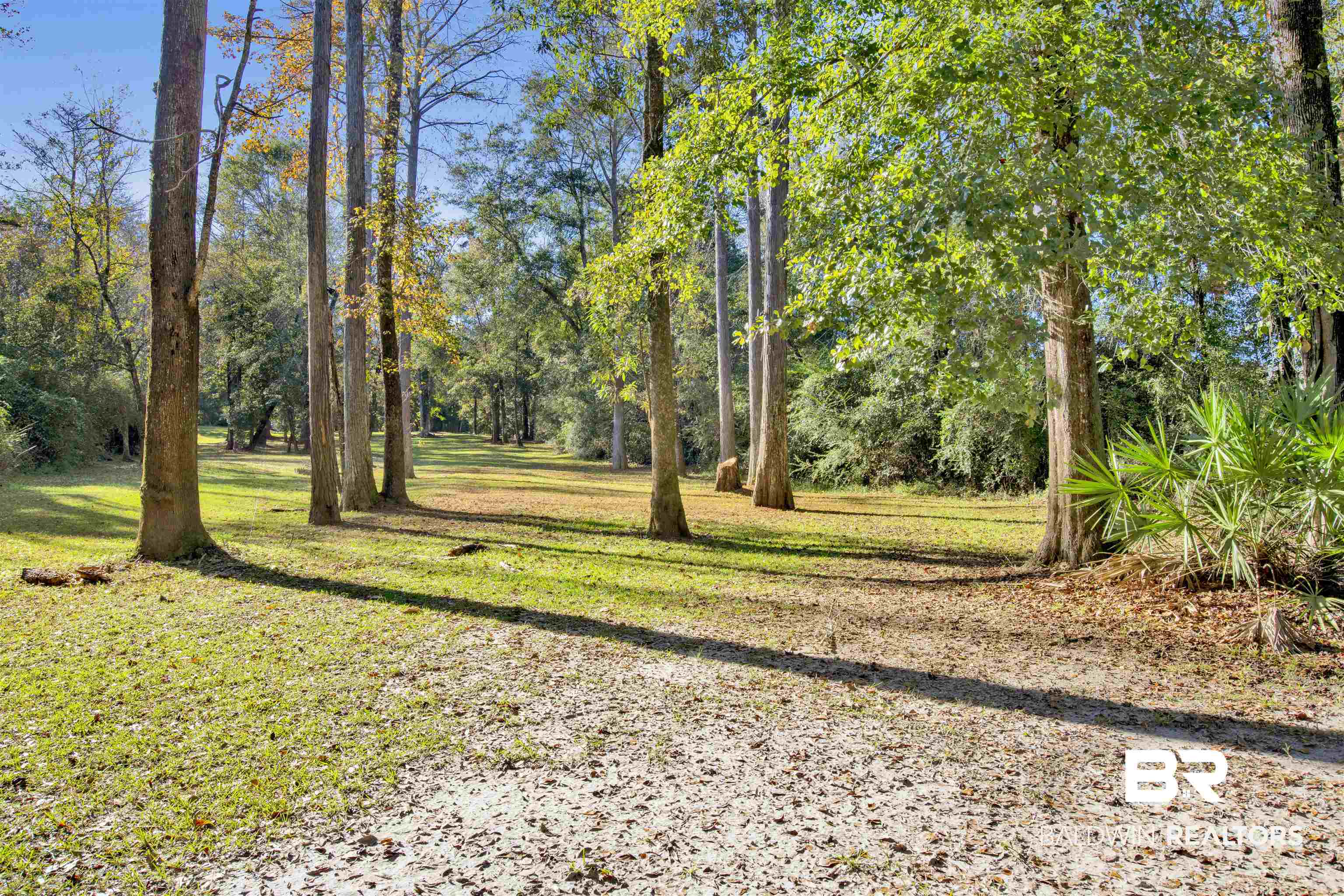 0 Waterworld Road Robertsdale, AL 36567 - Photo 4 of 16 View of yard