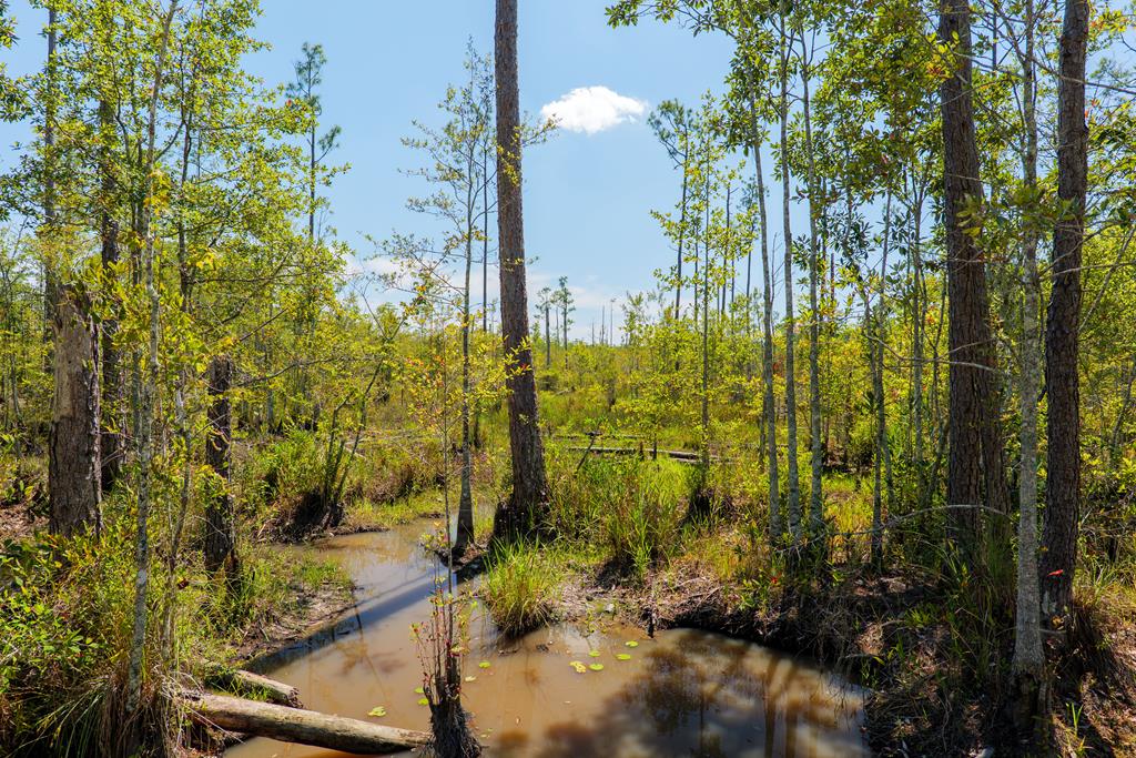 0 Union Road Hahira, GA 31632 - Photo 45 of 49 Gallery Image 45