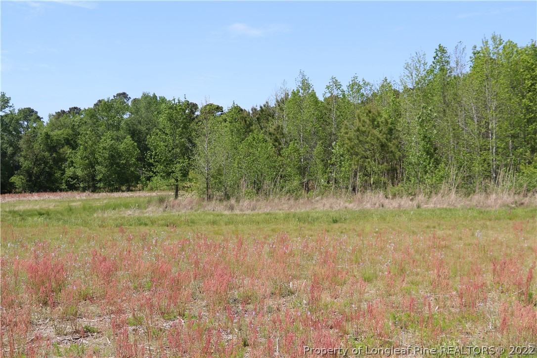 1837 Turnpike Road Lumberton, NC 28358 - Photo 1 of 25 Gallery Image 1