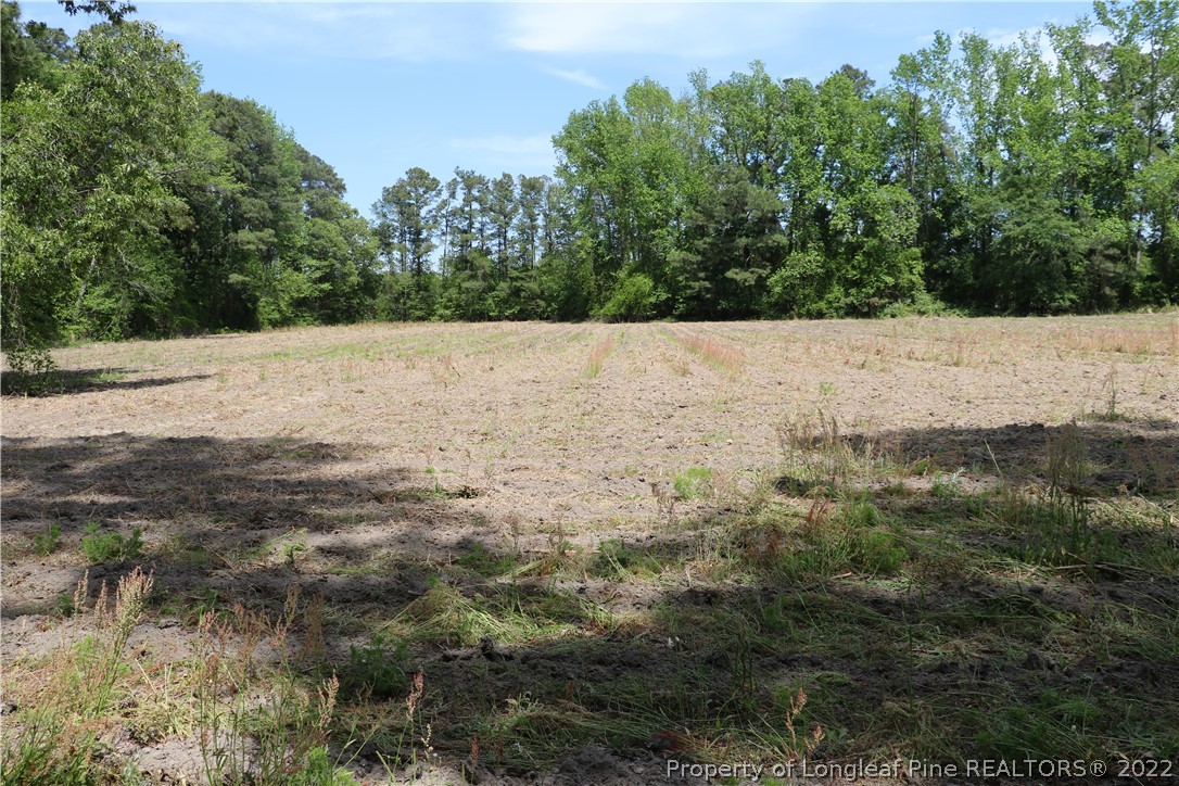 1837 Turnpike Road Lumberton, NC 28358 - Photo 13 of 25 Gallery Image 13