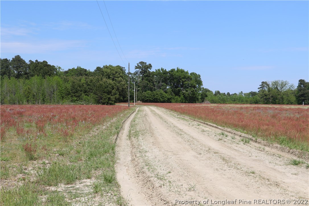 1837 Turnpike Road Lumberton, NC 28358 - Photo 3 of 25 Gallery Image 3
