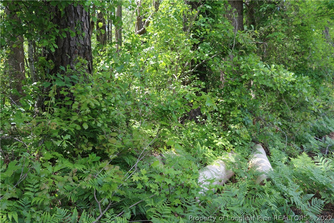 1837 Turnpike Road Lumberton, NC 28358 - Photo 7 of 25 Gallery Image 7