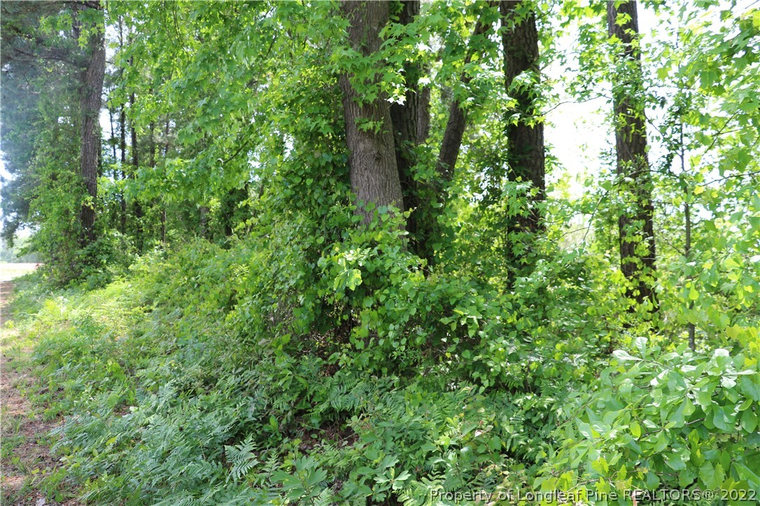 1837 Turnpike Road Lumberton, NC 28358 - Photo 8 of 25 Gallery Image 8