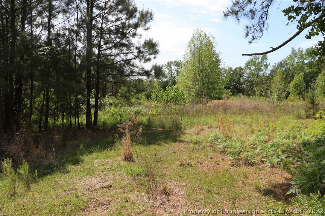 1837 Turnpike Road Lumberton, NC 28358 - Photo 9 of 25 Gallery Image 9