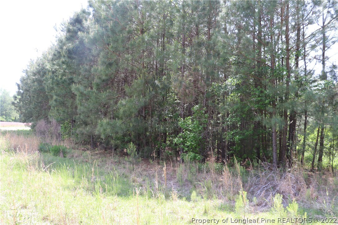1837 Turnpike Road Lumberton, NC 28358 - Photo 10 of 25 Gallery Image 10