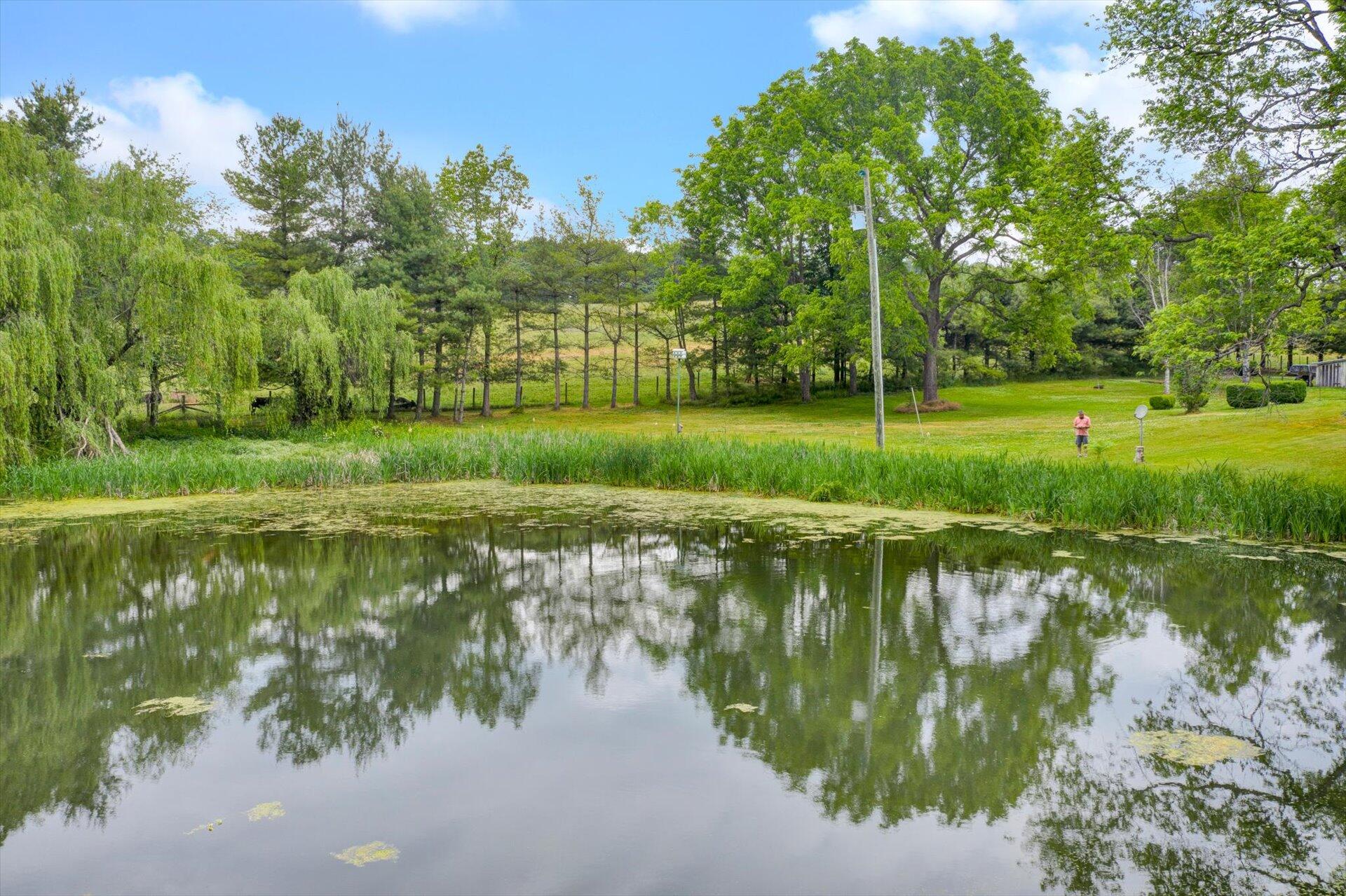 2501 Middlebrook Road Staunton, VA 24401 - Photo 40 of 50 a view of a lake with a large trees