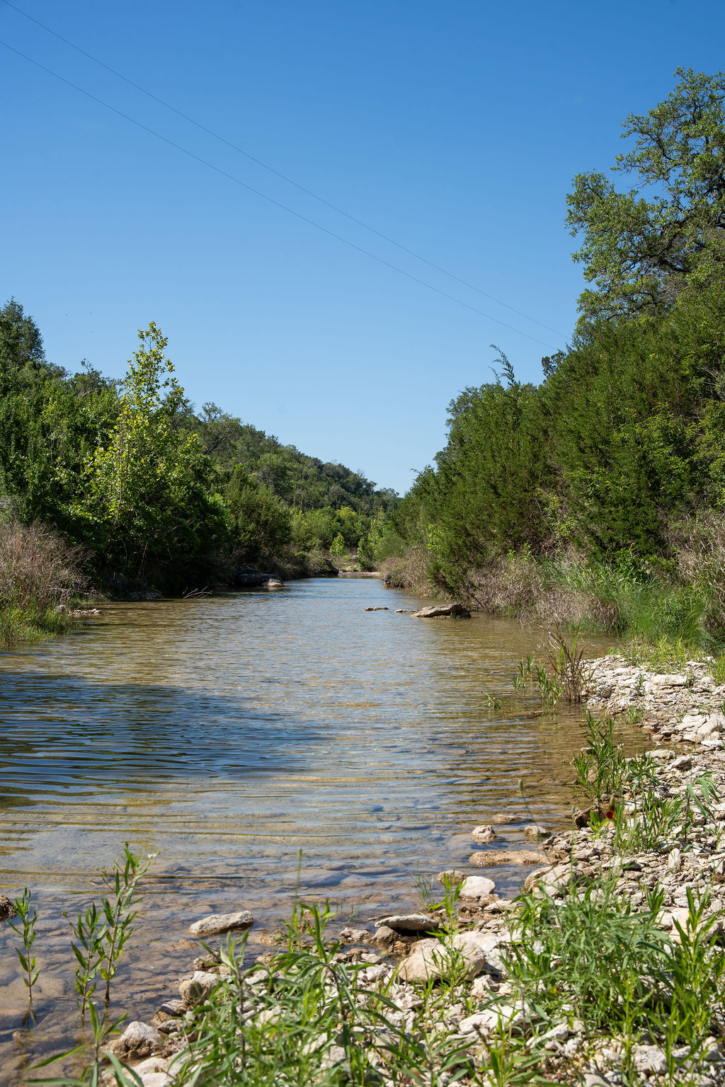 1294 Crabapple Road Blanco, TX 78606 - Photo 29 of 32 A tranquil water view framed by vibrant, natural foliage awaits.