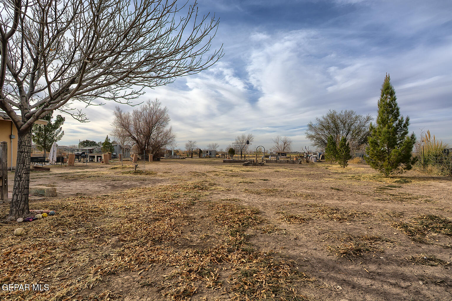 261 Indian Head Road Tornillo, TX 79853 - Photo 35 of 44 a view of dirt field with trees