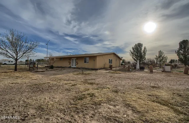 a view of a backyard with table and chairs under a large tree