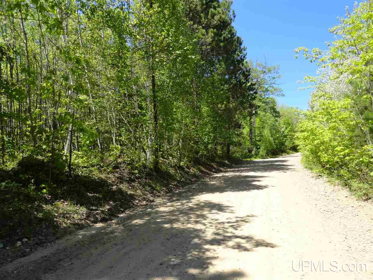40 Two 2 Mile Creek Road Channing, MI 49815 - Photo 1 of 15