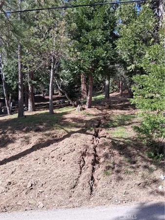 a view of a yard with a tree