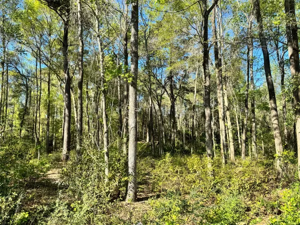 $32,000 | Tbd Railroad Avenue, Shepherd, TX 77371