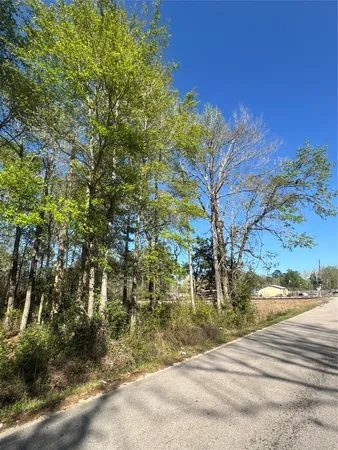 $32,000 | Tbd Railroad Avenue, Shepherd, TX 77371