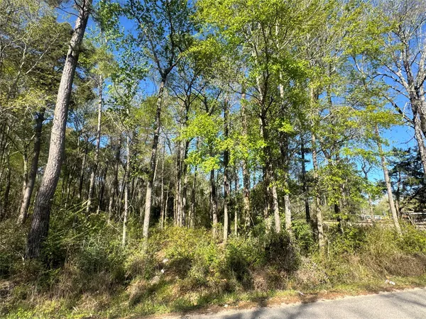 $32,000 | Tbd Railroad Avenue, Shepherd, TX 77371